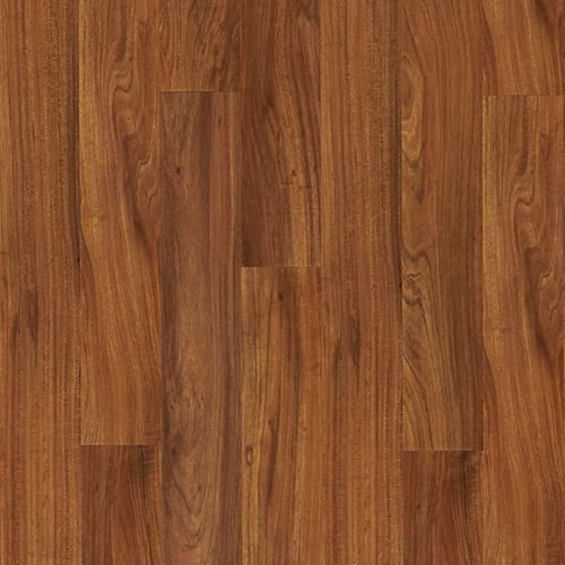 PERGO Laminate Portfolio in Fiji Acacia (WHS:BSD)