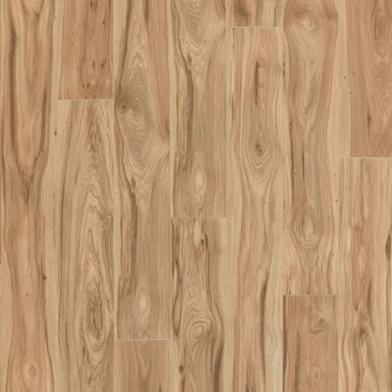 PERGO Laminate Portfolio in Natural Park Hickory (WHS:GAD)