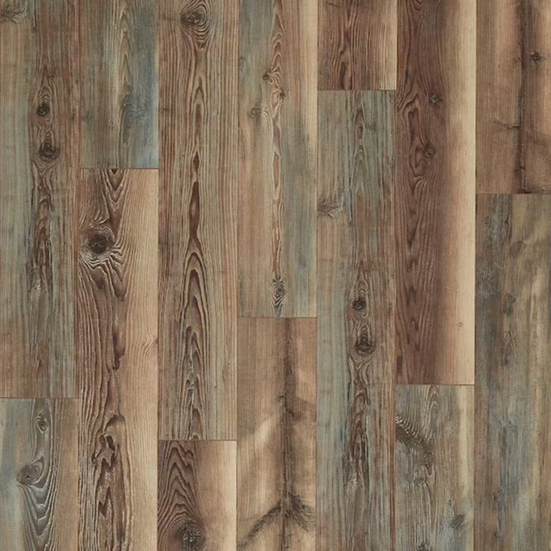 PERGO Laminate Portfolio in Sierra Hemlock (WHS:GAD/THO)