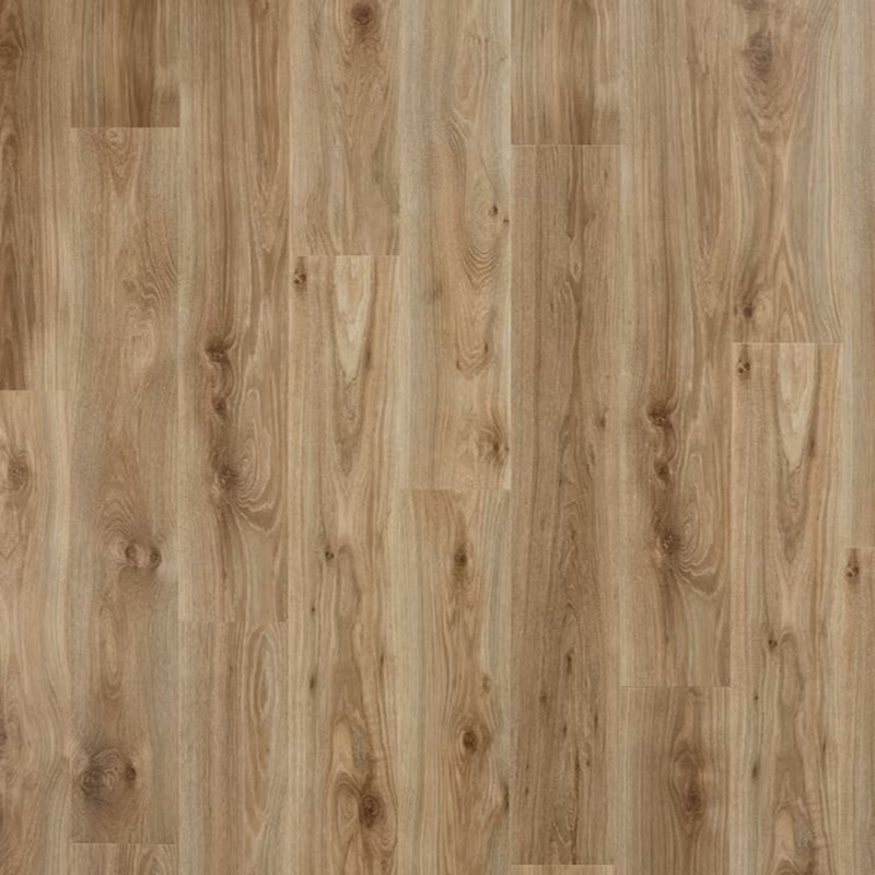 PERGO Laminate TimberCraft Elite in Aubrey Ridge Oak (WHS:GAD)