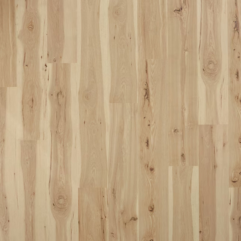 PERGO Laminate TimberCraft Elite in Misty Dawn Hickory (WHS:GAD)