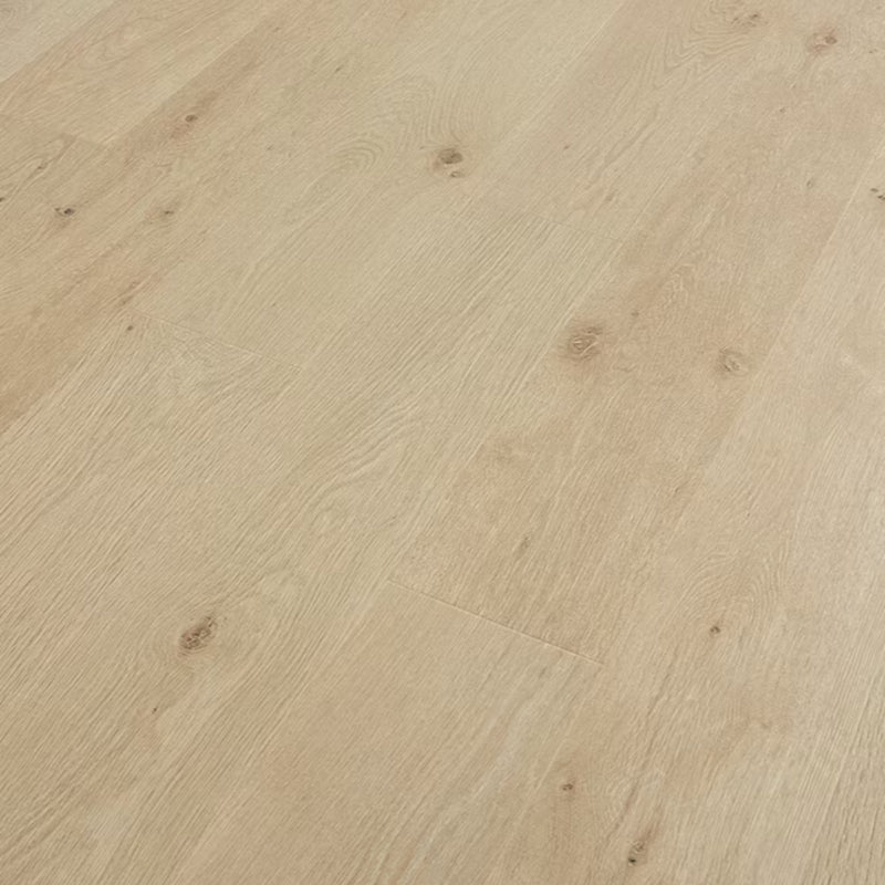 PERGO Laminate TimberCraft Elite in Marsh Creek Oak (WHS:GAD)