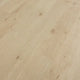 PERGO Laminate TimberCraft Elite in Marsh Creek Oak (WHS:GAD)