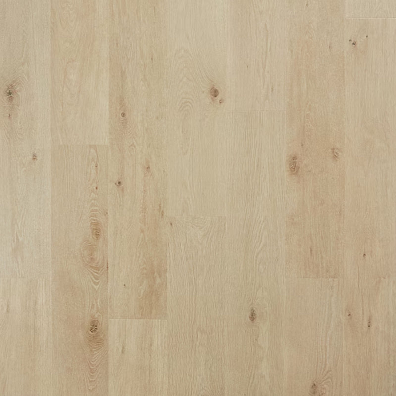 PERGO Laminate TimberCraft Elite in Marsh Creek Oak (WHS:GAD)